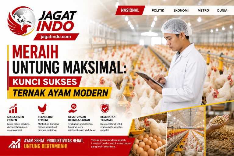 Meraih Untung Maksimal: Kunci Sukses Ternak Ayam Modern