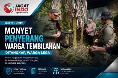 Monyet Penyerang Warga Tembilahan Ditangkap, Warga Lega