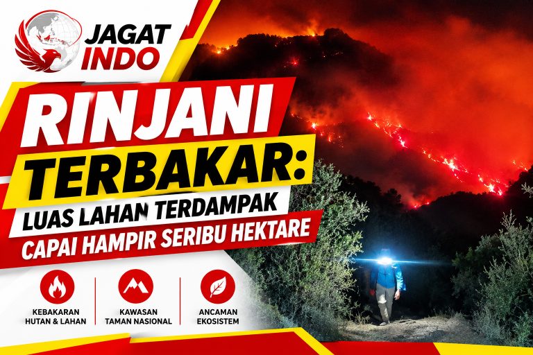 Rinjani Terbakar: Luas Lahan Terdampak Capai Hampir Seribu Hektare
